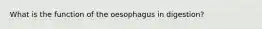 What is the function of the oesophagus in digestion?