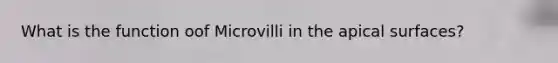 What is the function oof Microvilli in the apical surfaces?