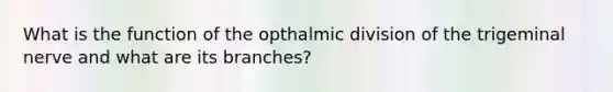 What is the function of the opthalmic division of the trigeminal nerve and what are its branches?