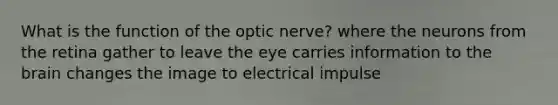 What is the function of the optic nerve? where the neurons from the retina gather to leave the eye carries information to the brain changes the image to electrical impulse