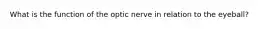 What is the function of the optic nerve in relation to the eyeball?