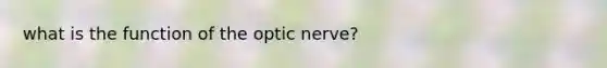 what is the function of the optic nerve?