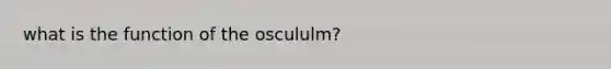 what is the function of the oscululm?