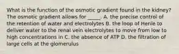 What is the function of the osmotic gradient found in the kidney? The osmotic gradient allows for _____. A. the precise control of the retention of water and electrolytes B. the loop of Henle to deliver water to the renal vein electrolytes to move from low to high concentrations in C. the absence of ATP D. the filtration of large cells at the glomerulus