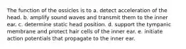 The function of the ossicles is to a. detect acceleration of the head. b. amplify sound waves and transmit them to the inner ear. c. determine static head position. d. support the tympanic membrane and protect hair cells of the inner ear. e. initiate action potentials that propagate to the inner ear.