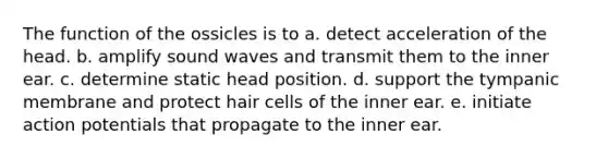 The function of the ossicles is to a. detect acceleration of the head. b. amplify sound waves and transmit them to the inner ear. c. determine static head position. d. support the tympanic membrane and protect hair cells of the inner ear. e. initiate action potentials that propagate to the inner ear.