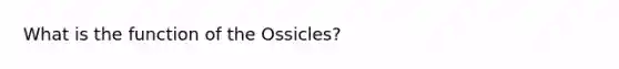 What is the function of the Ossicles?