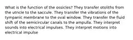 What is the function of the ossicles? They transfer otoliths from the utricle to the saccule. They transfer the vibrations of the tympanic membrane to the oval window. They transfer the fluid shift of the semicircular canals to the ampulla. They interpret sounds into electrical impulses. They interpret motions into electrical impulse