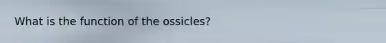 What is the function of the ossicles?