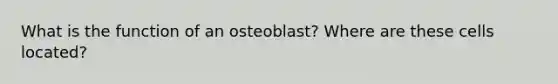 What is the function of an osteoblast? Where are these cells located?