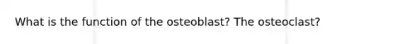 What is the function of the osteoblast? The osteoclast?