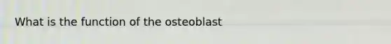 What is the function of the osteoblast