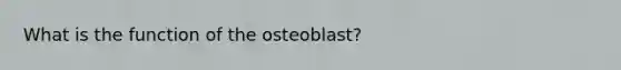 What is the function of the osteoblast?