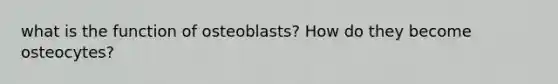 what is the function of osteoblasts? How do they become osteocytes?