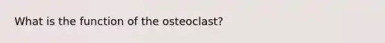 What is the function of the osteoclast?