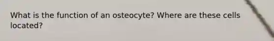 What is the function of an osteocyte? Where are these cells located?