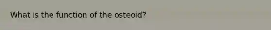 What is the function of the osteoid?