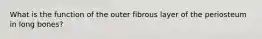 What is the function of the outer fibrous layer of the periosteum in long bones?