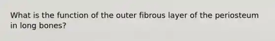 What is the function of the outer fibrous layer of the periosteum in long bones?