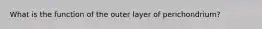 What is the function of the outer layer of perichondrium?