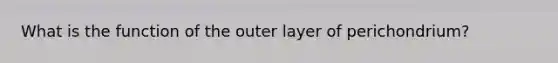 What is the function of the outer layer of perichondrium?