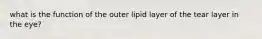 what is the function of the outer lipid layer of the tear layer in the eye?