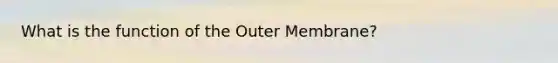 What is the function of the Outer Membrane?