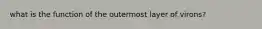 what is the function of the outermost layer of virons?