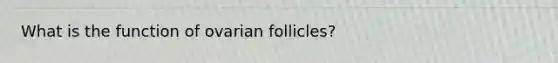 What is the function of ovarian follicles?