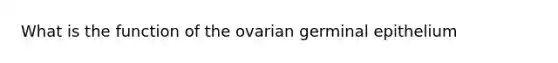 What is the function of the ovarian germinal epithelium