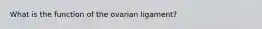 What is the function of the ovarian ligament?