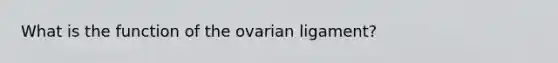 What is the function of the ovarian ligament?