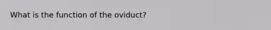 What is the function of the oviduct?