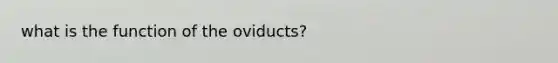 what is the function of the oviducts?