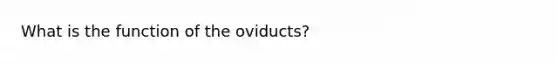 What is the function of the oviducts?