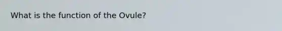 What is the function of the Ovule?