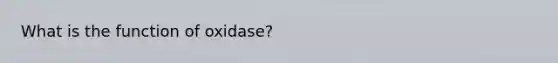 What is the function of oxidase?