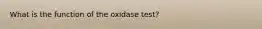 What is the function of the oxidase test?