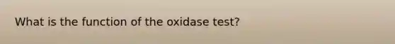 What is the function of the oxidase test?