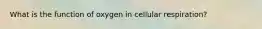 What is the function of oxygen in cellular respiration?