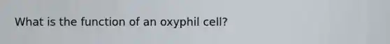 What is the function of an oxyphil cell?