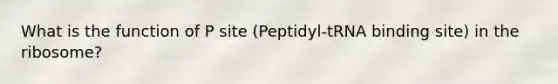 What is the function of P site (Peptidyl-tRNA binding site) in the ribosome?