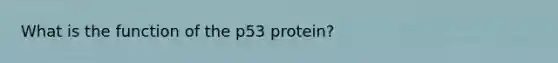 What is the function of the p53 protein?