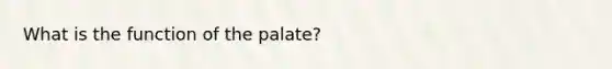 What is the function of the palate?