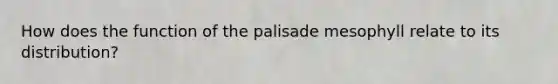 How does the function of the palisade mesophyll relate to its distribution?