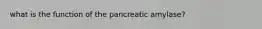 what is the function of the pancreatic amylase?
