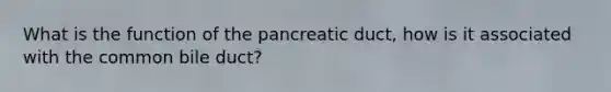 What is the function of the pancreatic duct, how is it associated with the common bile duct?