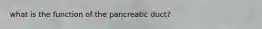 what is the function of the pancreatic duct?