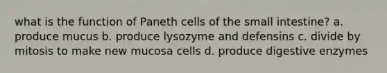 what is the function of Paneth cells of the small intestine? a. produce mucus b. produce lysozyme and defensins c. divide by mitosis to make new mucosa cells d. produce digestive enzymes