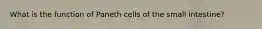 What is the function of Paneth cells of the small intestine?